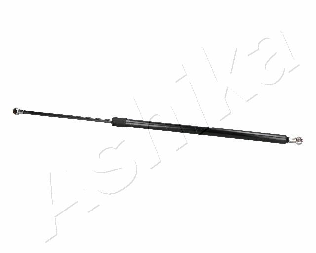 ZSA06038