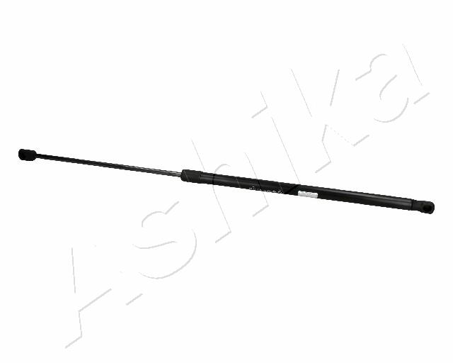 ZSA06031