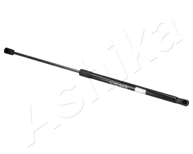 ZSA07038