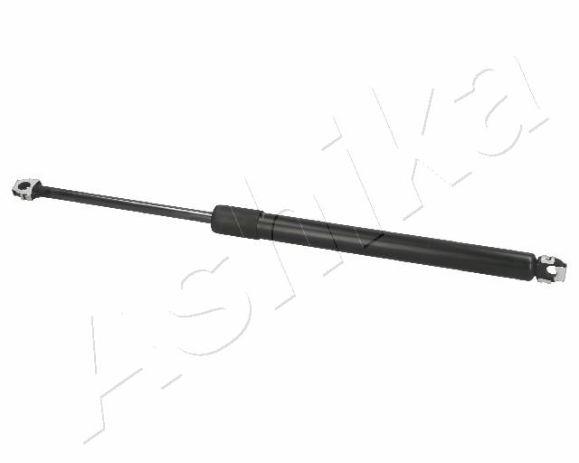 ZSA01017