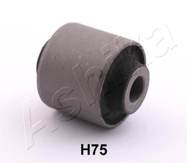 GOM-H75