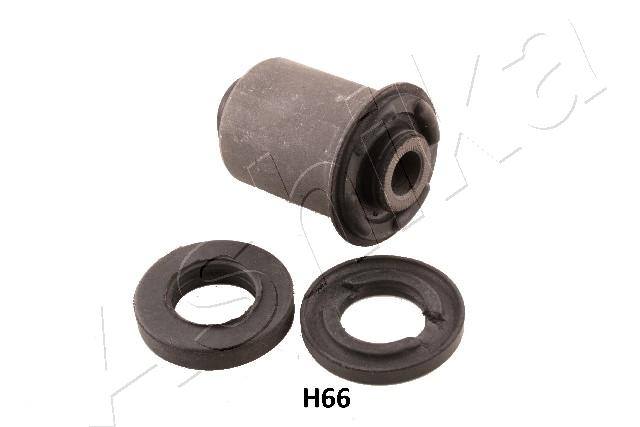 GOM-H66