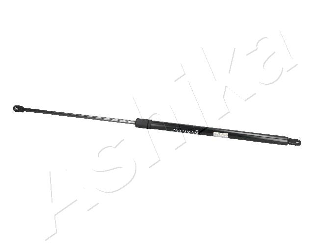 ZSA09074