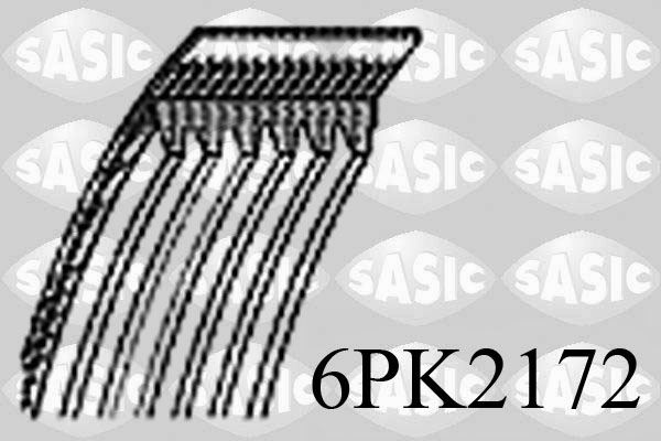 6PK2172