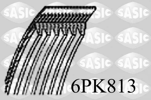 6PK813