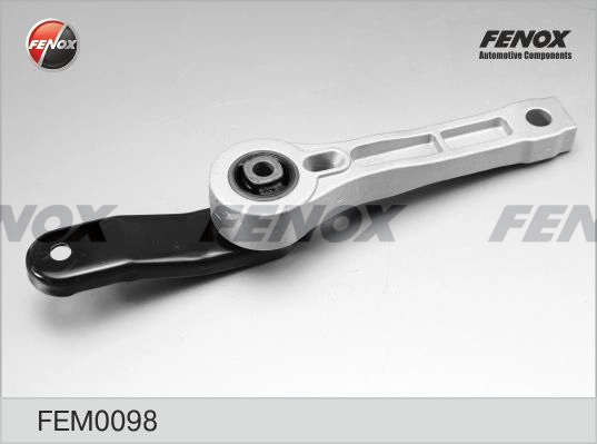 FEM0098
