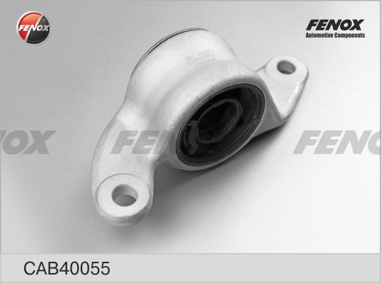 CAB40055