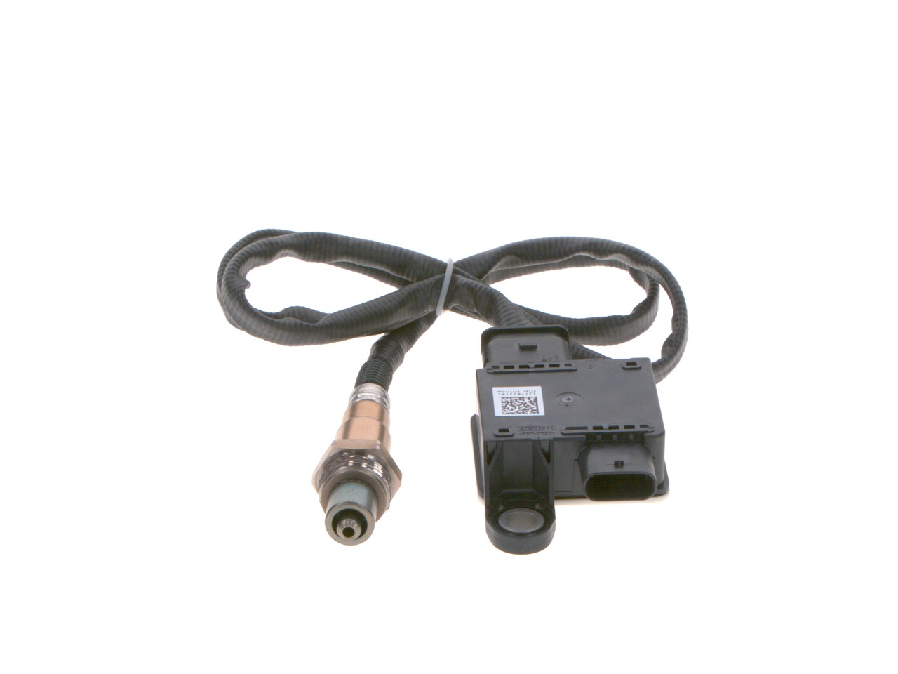 02T4A2625