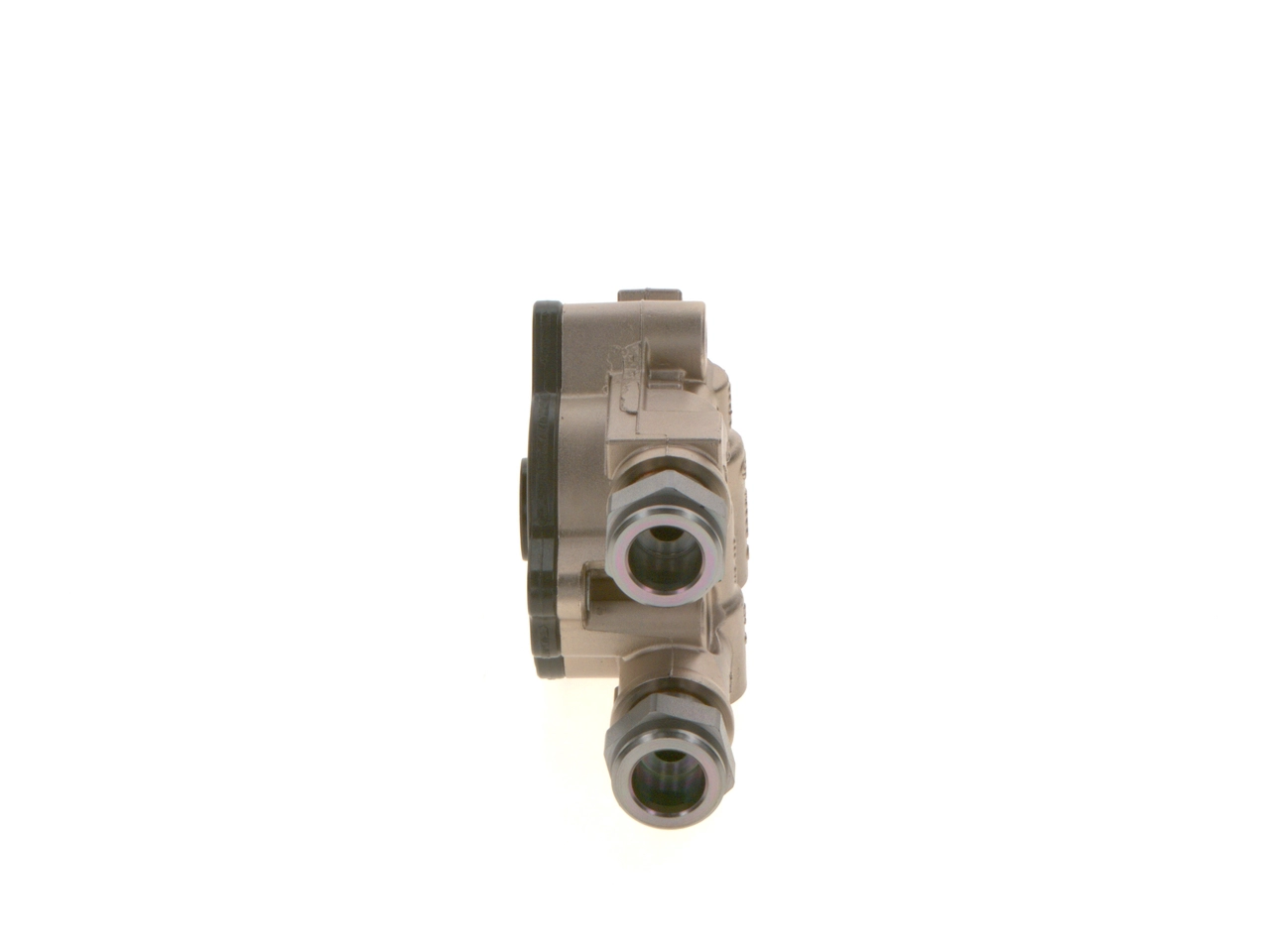 42559145