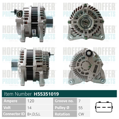 H55351019