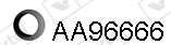 AA96666