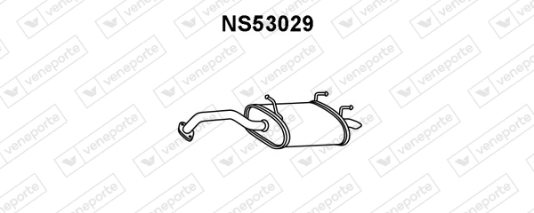 NS53029