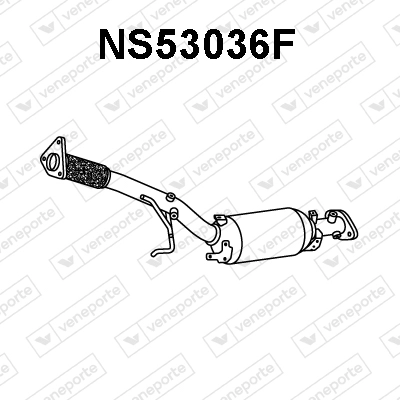 NS53036F