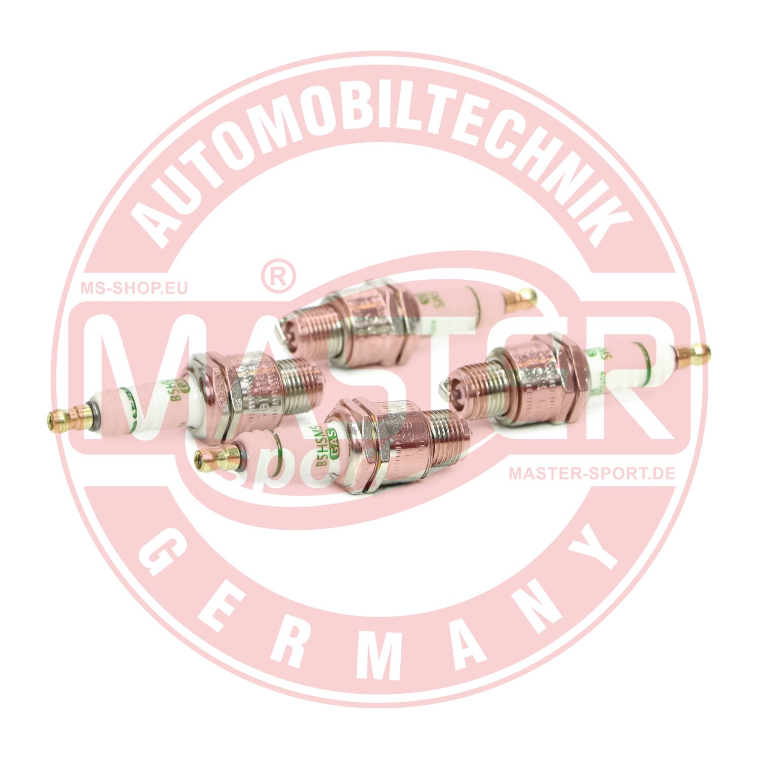 B5HS-GAS-ST-SET/4/-MS