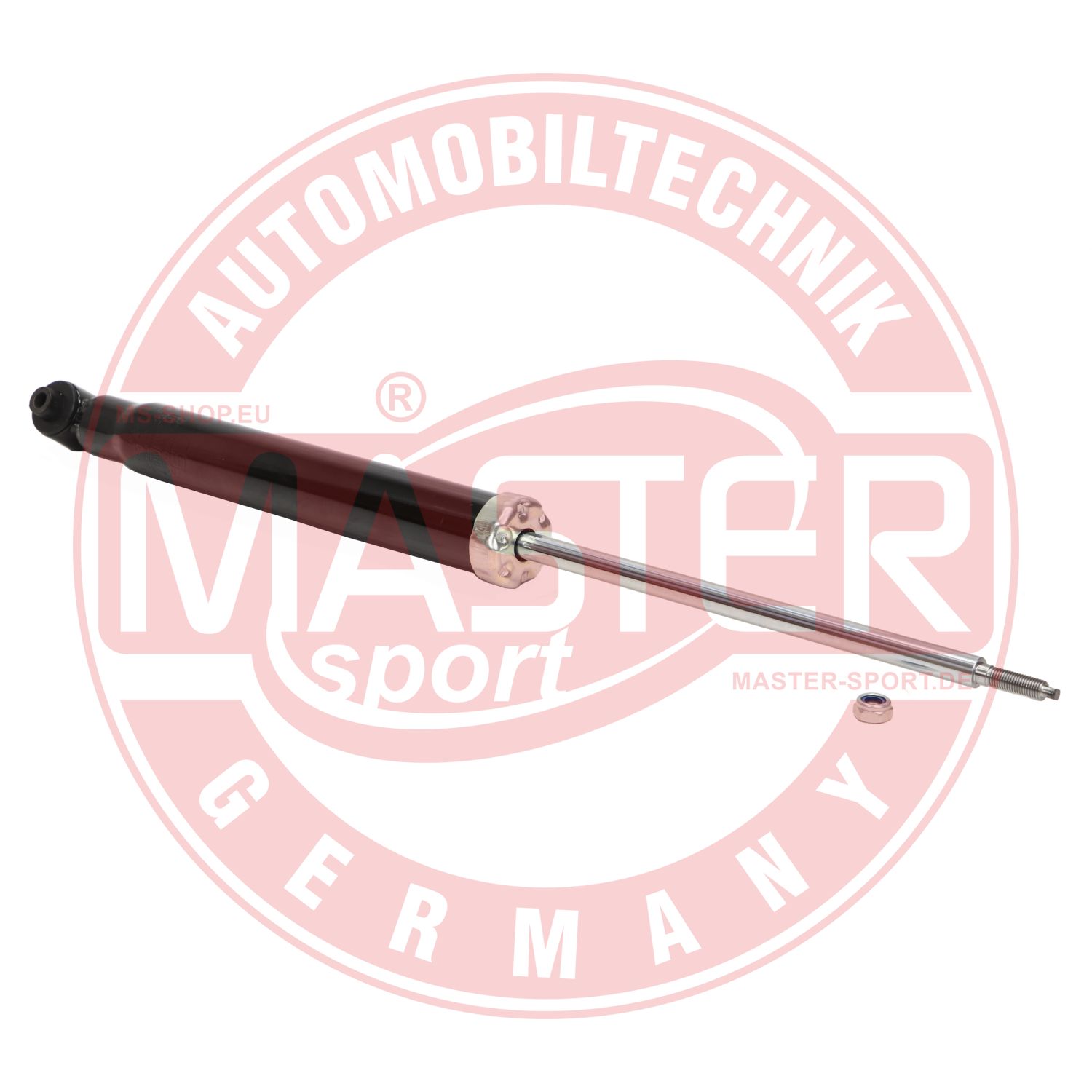 290963-PCS-MS
