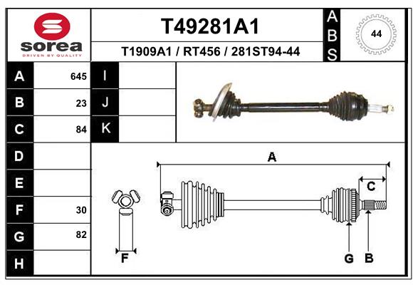 T49281A1