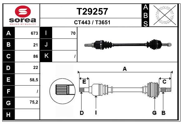 T29257