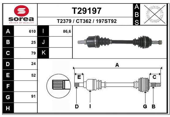 T29197