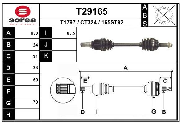 T29165