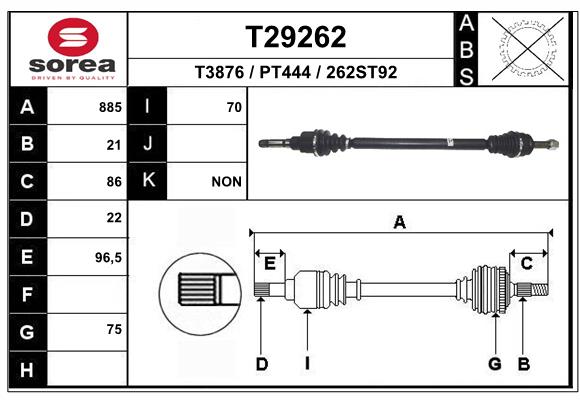 T29262