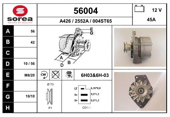 56004