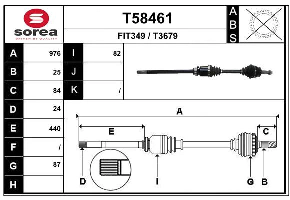 T58461