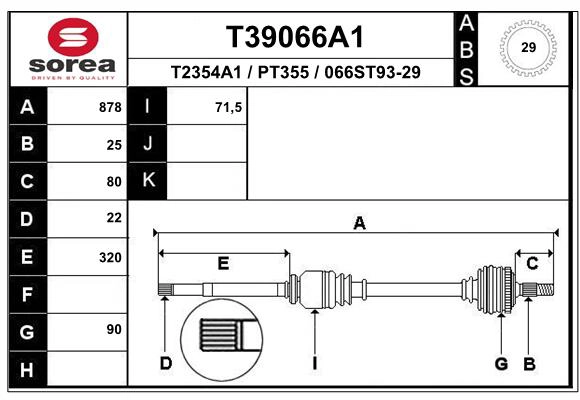 T39066A1