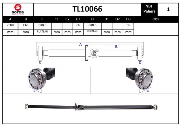 TL10066