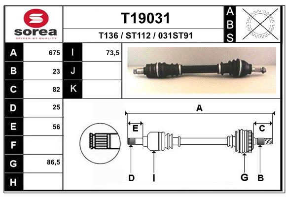 T19031