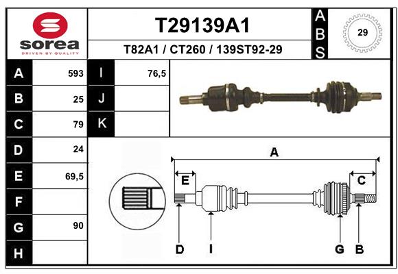 T29139A1