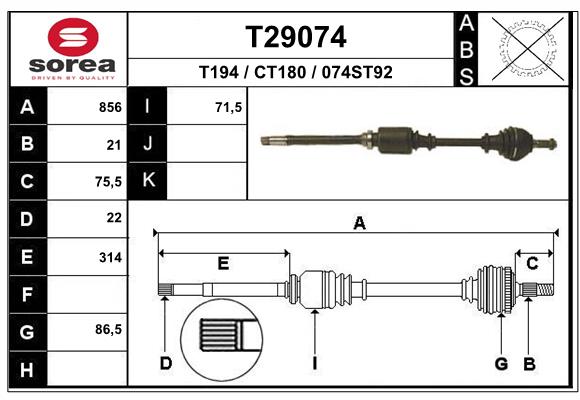 T29074