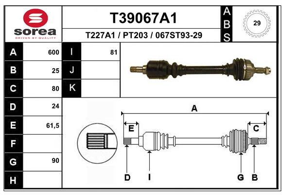 T39067A1
