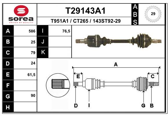 T29143A1