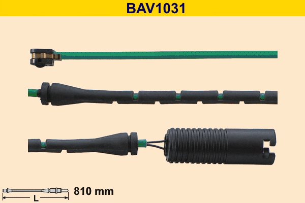 BAV1031