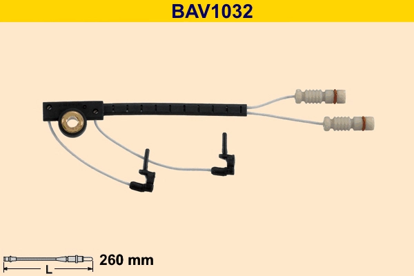 BAV1032