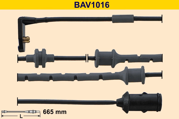BAV1016