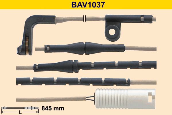 BAV1037