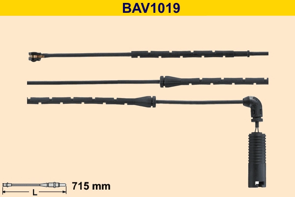 BAV1019