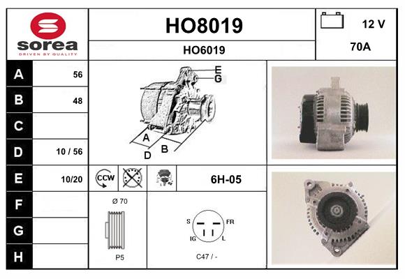 HO8019