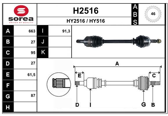H2516