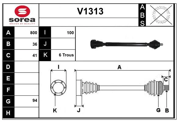 V1313