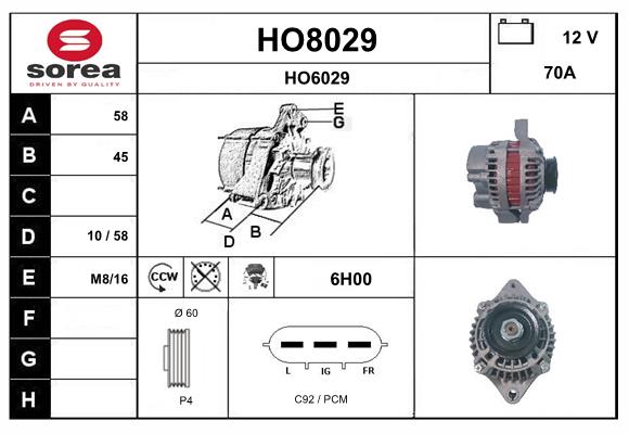 HO8029