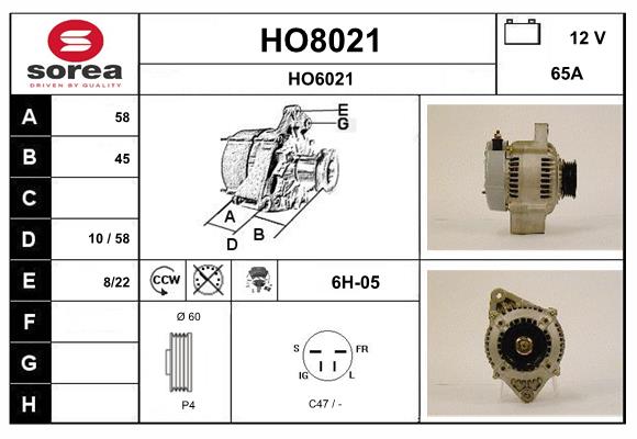 HO8021