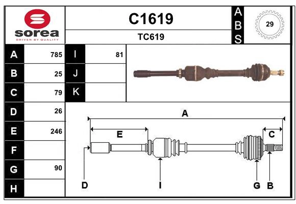 C1619