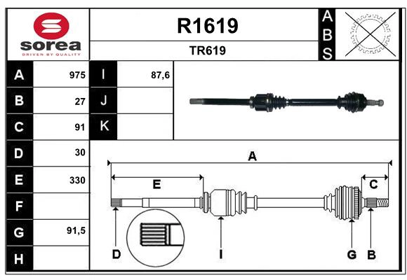 R1619