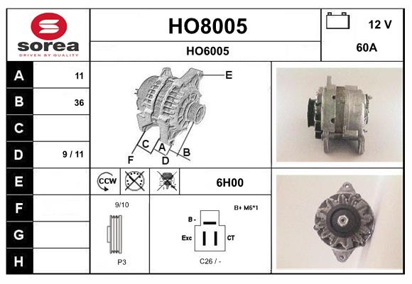 HO8005