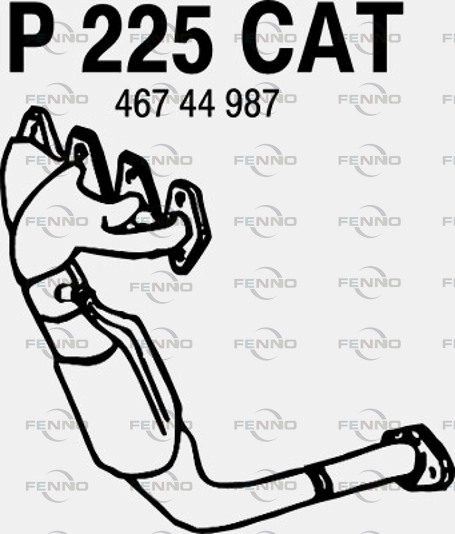 P225CAT