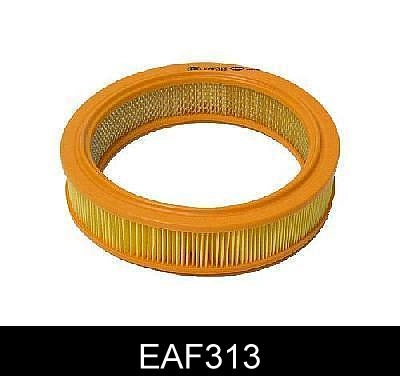 EAF313