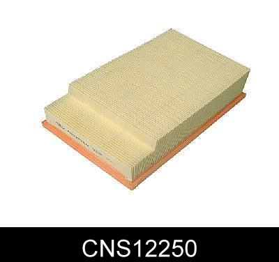 CNS12250