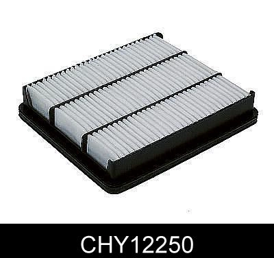 CHY12250